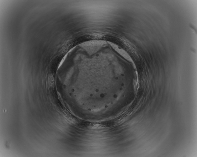 X0000091000467200708301338