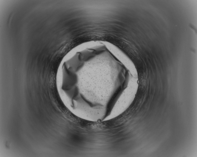 X0000091000468200708301338