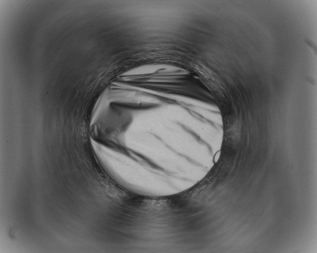 X0000091000469200708301339