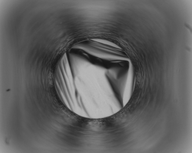 X0000091000470200708301339