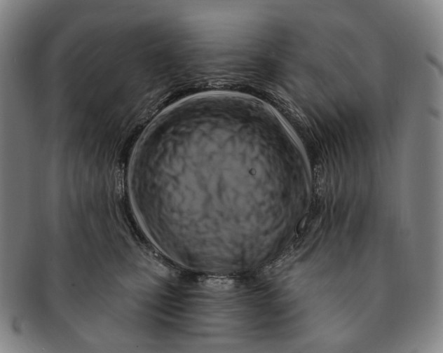 X0000091000471200708301339