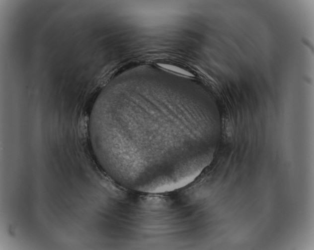 X0000091000475200708301339