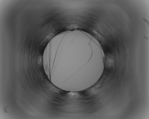 X0000091000477200708301339