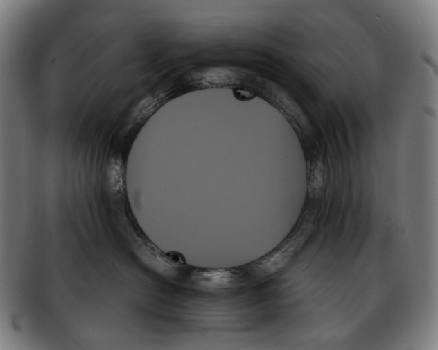X0000091000478200708301339