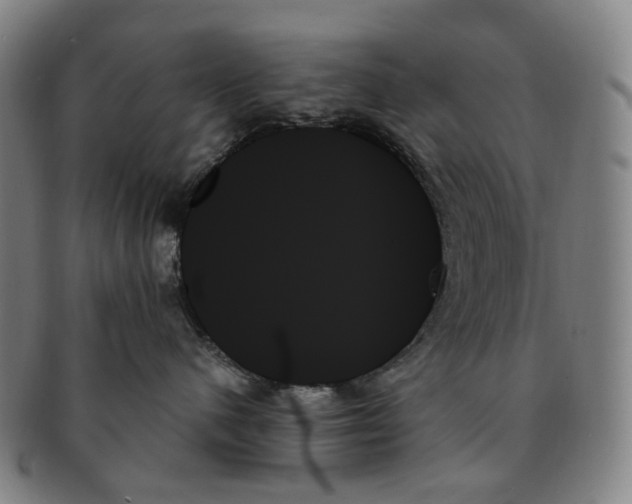 X0000091000480200708301339