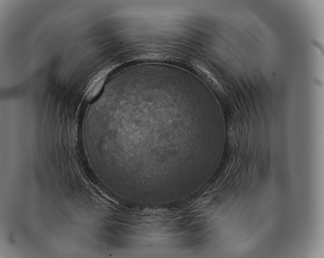 X0000091000484200708301338