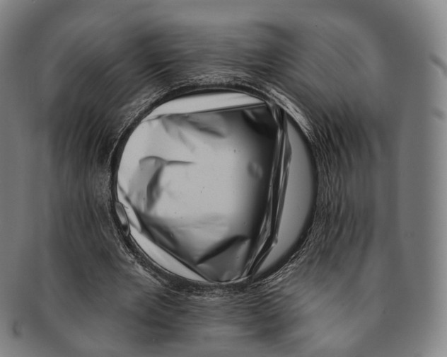 X0000091000485200708301338