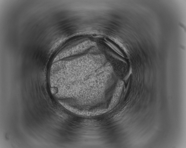 X0000091000487200708301338