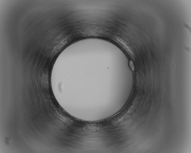 X0000091000489200708301338