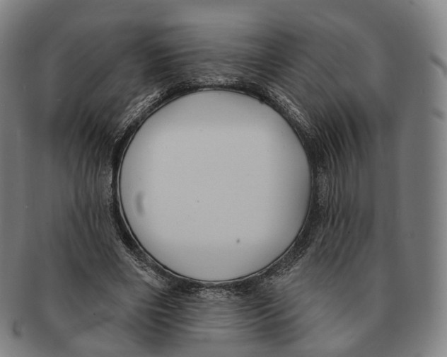 X0000091000490200708301338