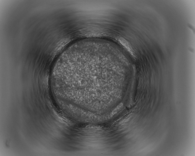X0000091000491200708301338