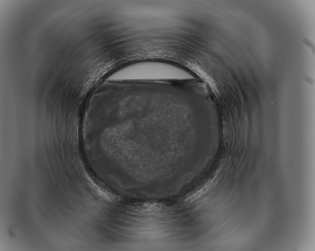 X0000091000493200708301338
