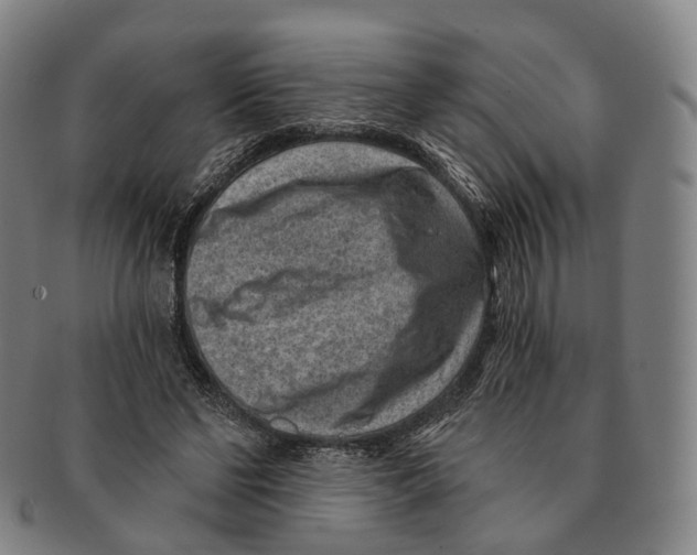 X0000091000494200708301338