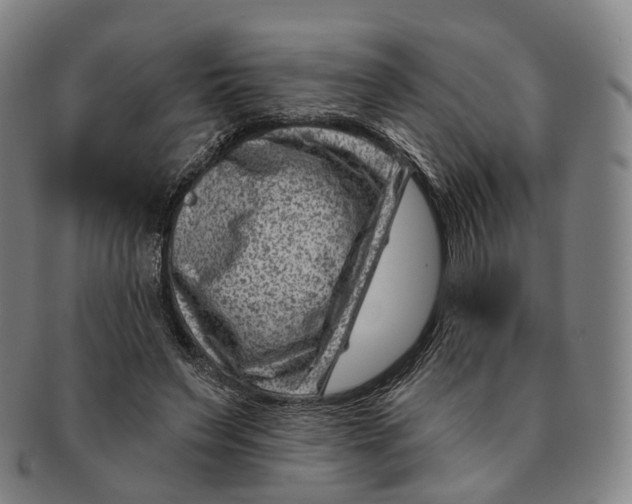 X0000091000495200708301338