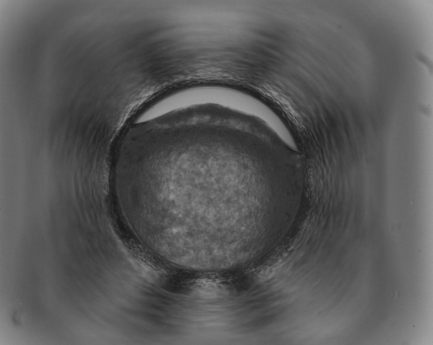 X0000091000496200708301338