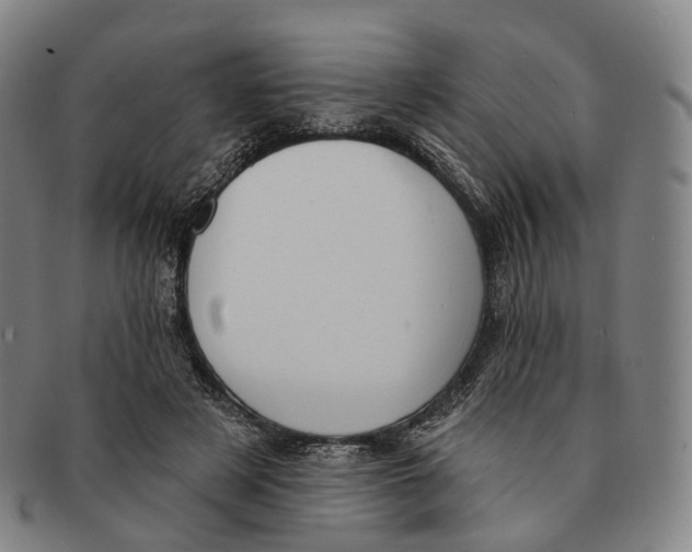 X0000091000497200708301338