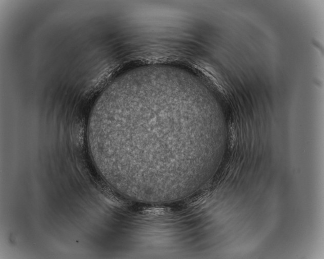 X0000091000499200708301338