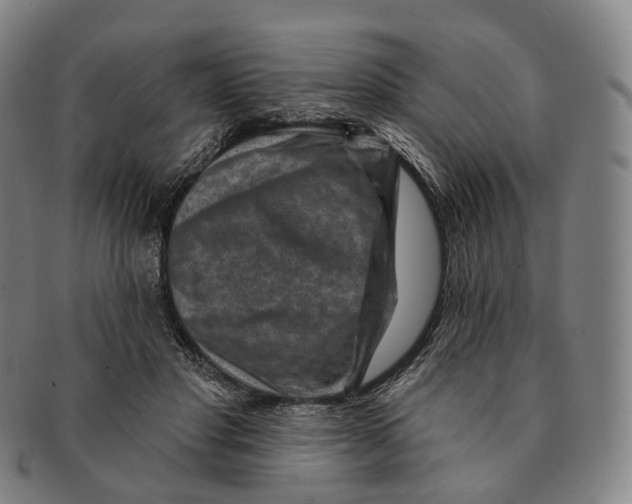 X0000091000501200708301338