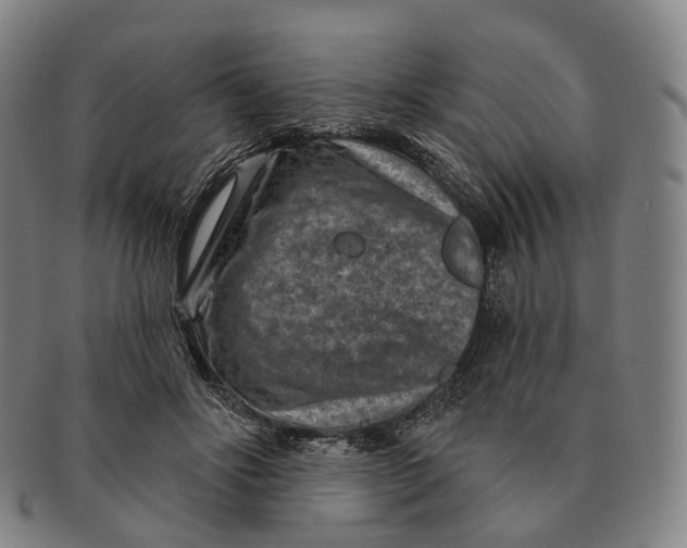 X0000091000502200708301338