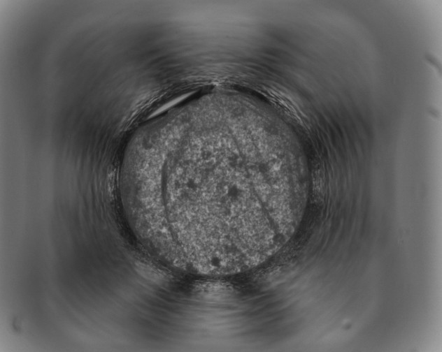X0000091000503200708301338