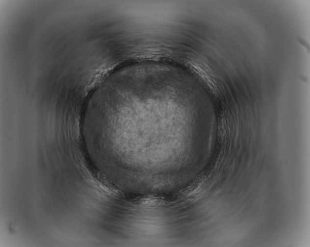 X0000091000504200708301338