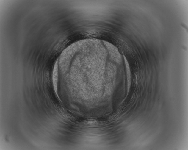 X0000091000506200708301338