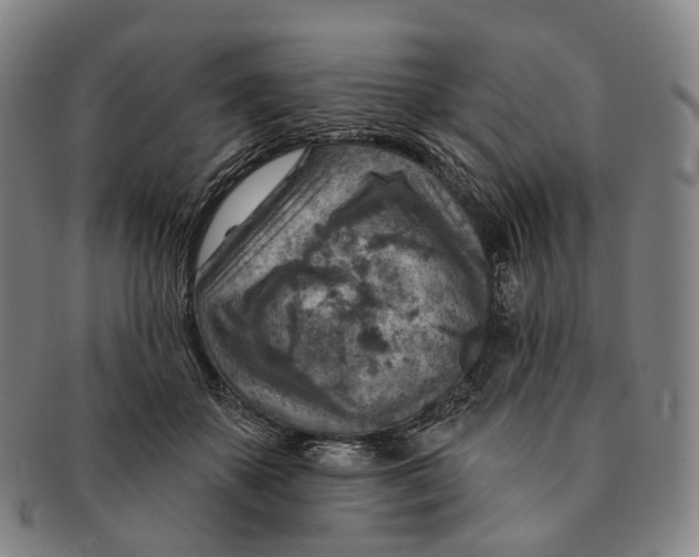 X0000091000507200708301338