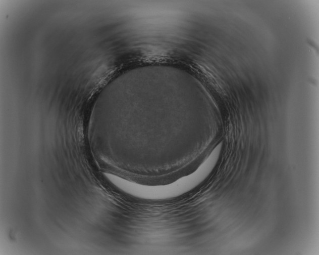 X0000091000508200708301338