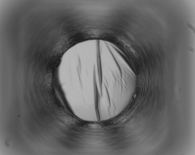 X0000091000509200708301338