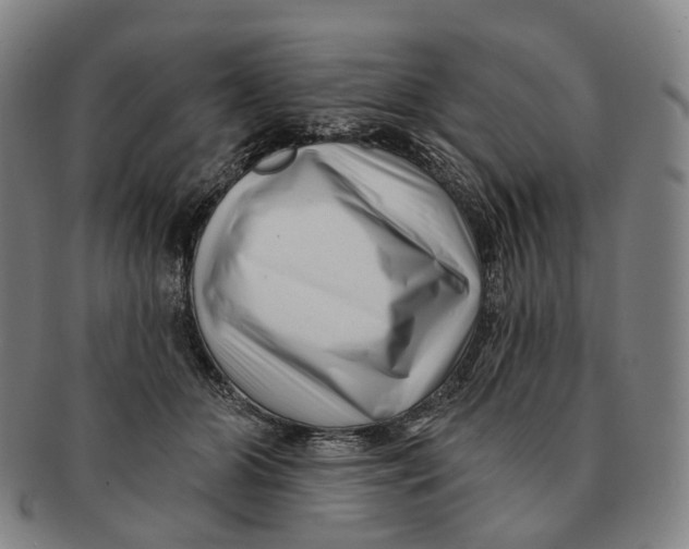 X0000091000510200708301338