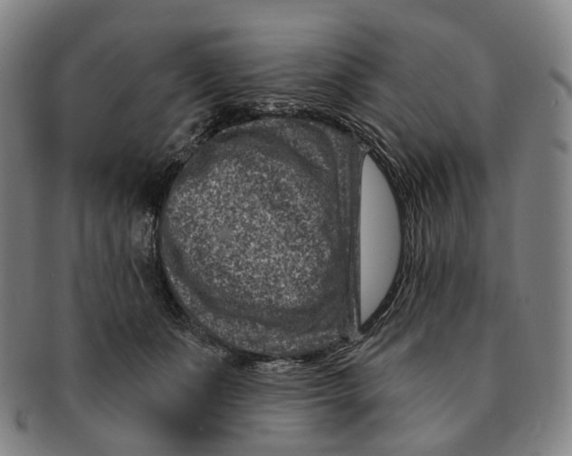 X0000091000511200708301338