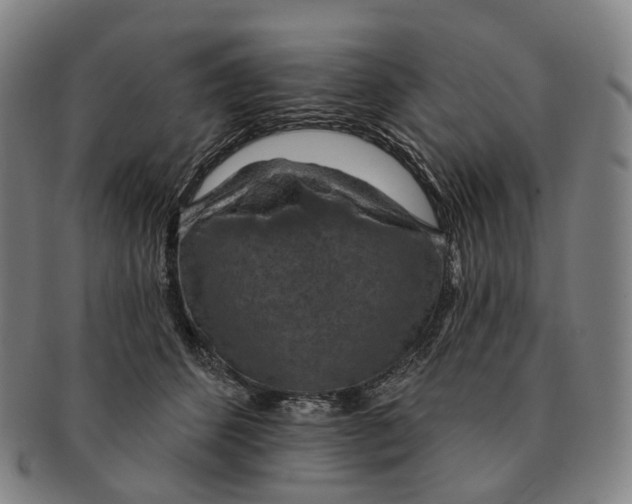 X0000091000512200708301338
