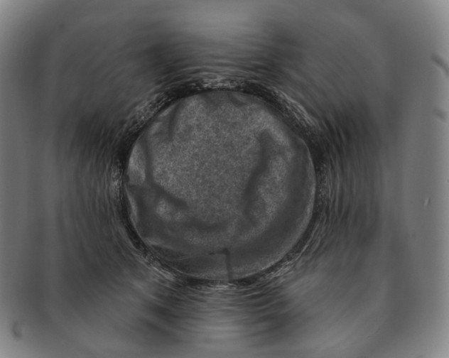 X0000091000513200708301338