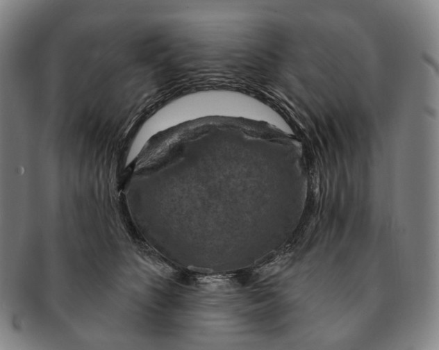 X0000091000516200708301338