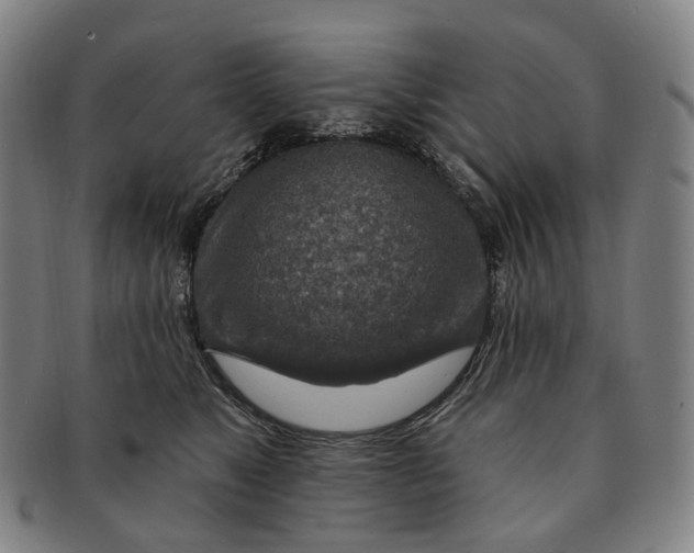 X0000091000517200708301338
