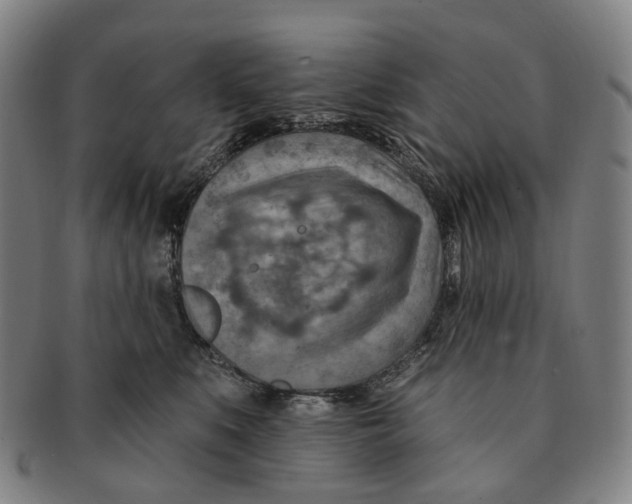 X0000091000519200708301337