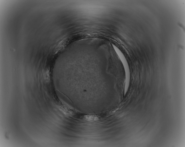 X0000091000520200708301337