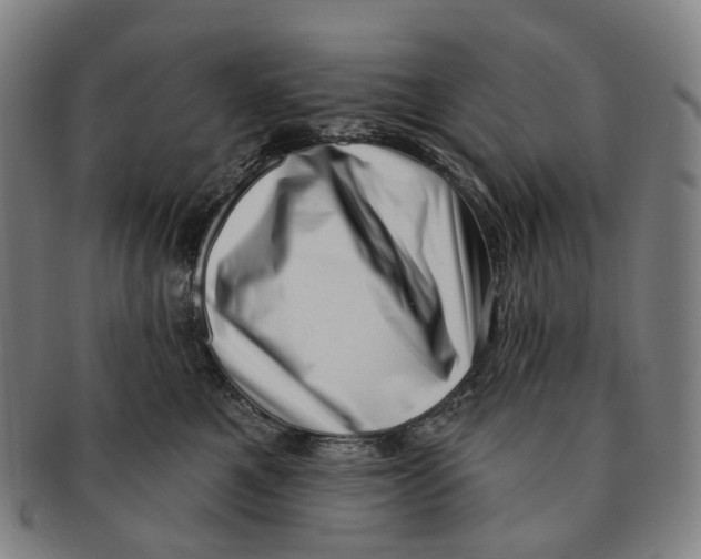 X0000091000521200708301337