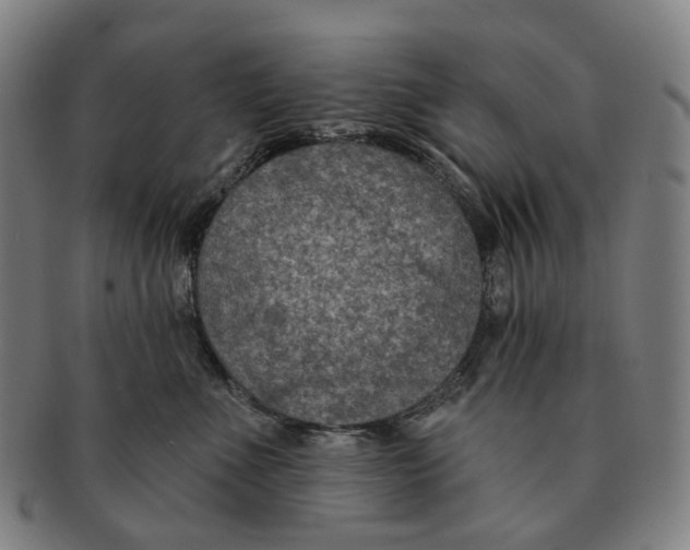 X0000091000523200708301337
