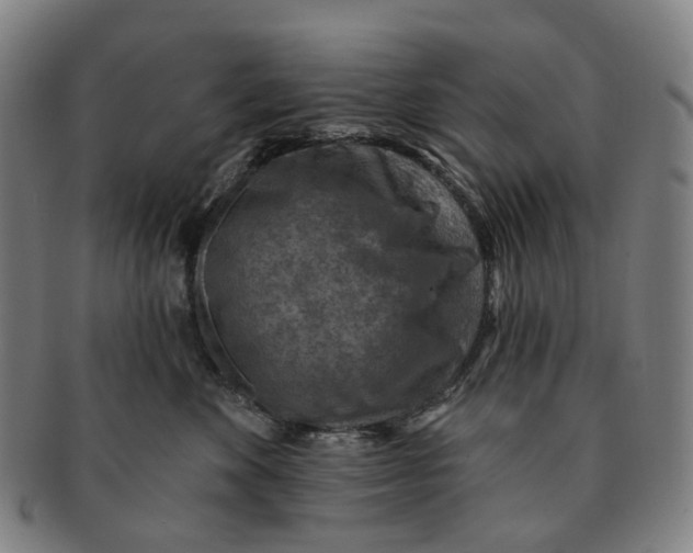 X0000091000524200708301337