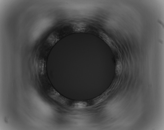 X0000091000525200708301337