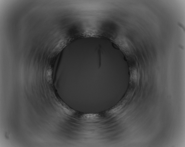 X0000091000526200708301337
