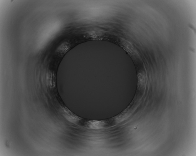X0000091000527200708301337