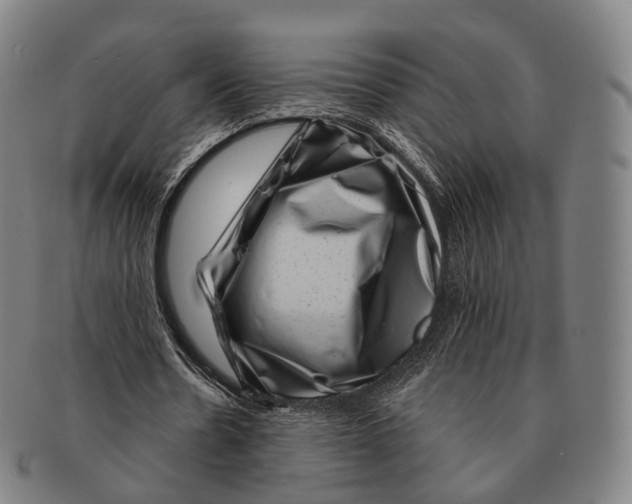 X0000091000530200708301337