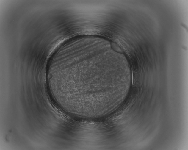 X0000091000531200708301337