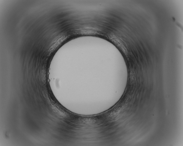 X0000091000533200708301337