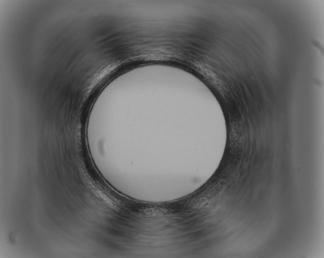 X0000091000535200708301337