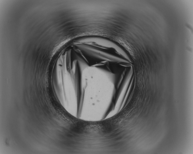 X0000091000536200708301337