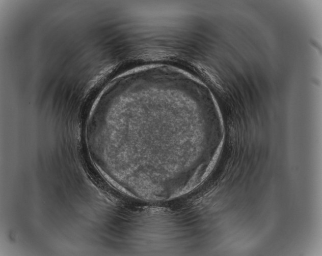 X0000091000539200708301337
