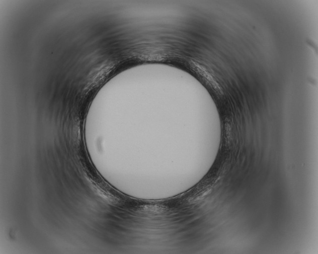 X0000091000541200708301337